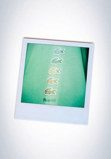 polaroid