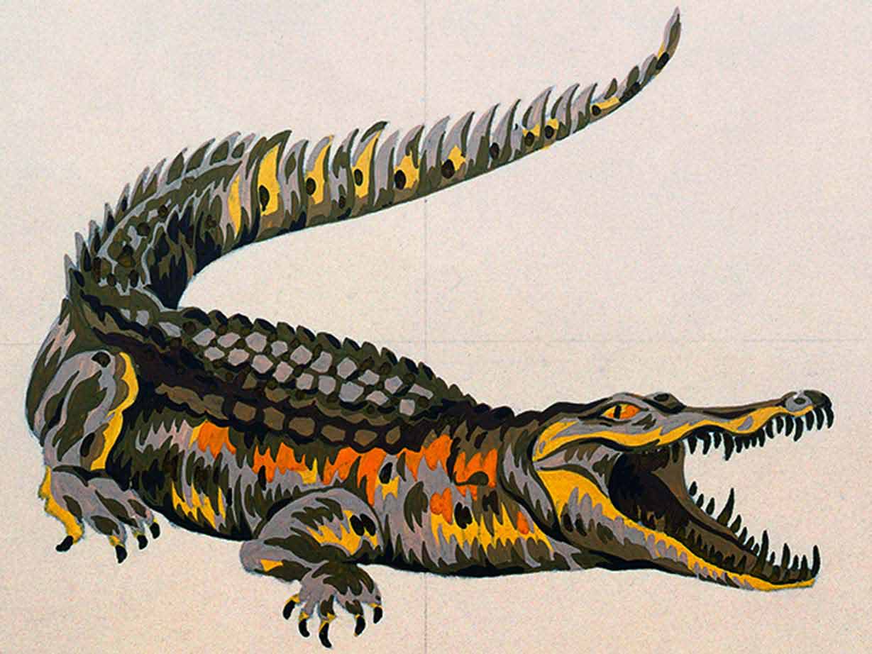 lacoste animal