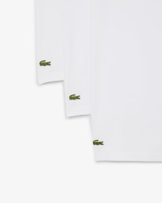 베이직 브이넥 코튼 티셔츠 3PACK