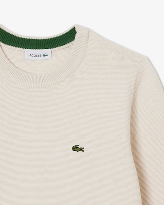 키즈 베이직 긴팔 스웨터