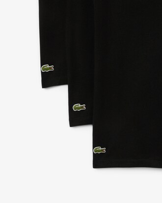 베이직 브이넥 3팩