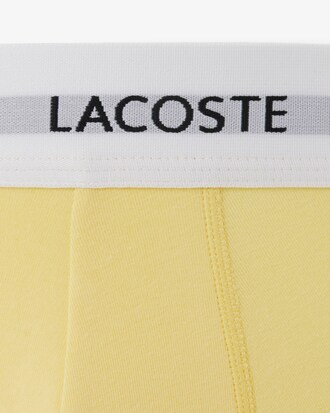 베이직 트렁크 3PACK