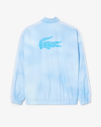 다닐 스페셜 셋업