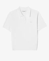 골프 스카시 폴로 스웨터