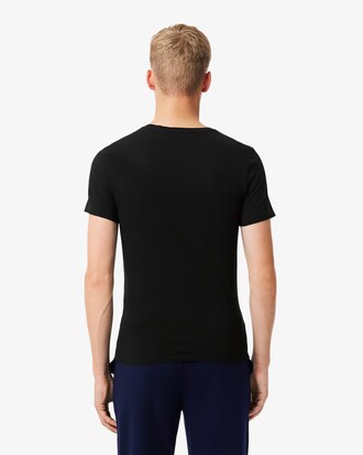 베이직 브이넥 3팩