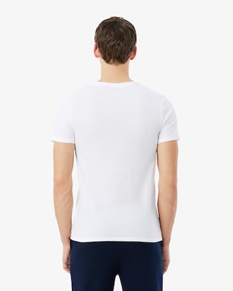 베이직 브이넥 3팩