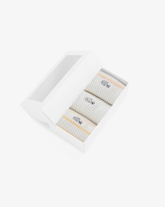 여성 디자인 3P 번들