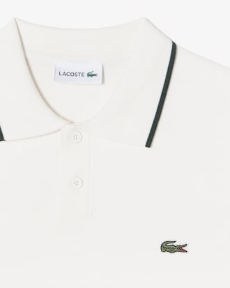 베이직 폴로 스웨터