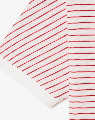 돌먼핏 오픈카라 폴로셔츠