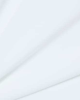 테니스 다닐 폴로