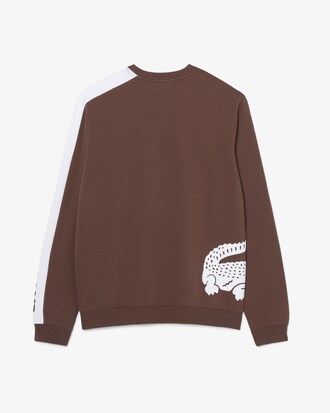 null  - 브라운 - Lacoste
