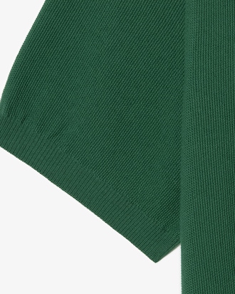 강연 피케 스웨터 폴로